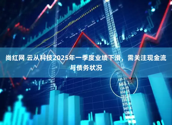 尚红网 云从科技2025年一季度业绩下滑，需关注现金流与债务状况