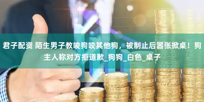 君子配资 陌生男子教唆狗咬其他狗，被制止后嚣张掀桌！狗主人称对方拒道歉_狗狗_白色_桌子